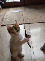 /album/17-11-20254/586525478-1175217234714190-6640361434379503166-n-jpg/