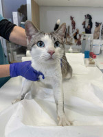 /album/162/5f03b999-ad38-424d-ad70-a311f5d1e5b6-jpeg/