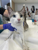 /album/162/3db5997e-7cde-4af5-994c-8609dd87cce1-jpeg/