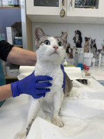 /album/162/f580a049-a833-4ff4-9cbd-d0ba1a68c20d-jpeg/