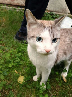 /album/162/7ea1846b-c2ab-482b-9f4b-a59d73931050-jpeg/