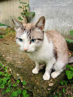 /album/162/5490ce3a-877f-4a28-b1c8-b22386babf8c-jpeg/