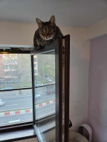 /album/24-11-20252/e39f75bb-604a-405a-a20e-2b98efb075a0-jpeg/