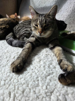 /album/24-11-20252/fda8585b-84d2-4b8e-bf1d-67646e3b8a3d-jpeg/