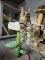 /album/24-11-20252/bb013f52-3a5a-403f-a4ff-f7901263d6c2-jpeg/