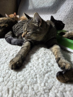 /album/24-11-20252/a779c65e-b32e-4276-9a68-f41cddecc1d5-jpeg/