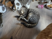 /album/24-11-20252/0c883da9-37f9-4038-9015-165c45636342-jpeg/