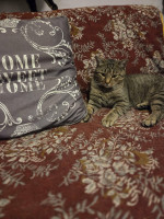 /album/186/f5973502-9710-4215-9a4b-6bea75937670-jpeg/