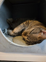 /album/186/99d90e9e-5649-46dd-ad7b-135c051efa9d-jpeg/