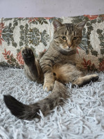 /album/186/f1dc3db4-dc8c-4a41-9082-7456e271868f-jpeg/