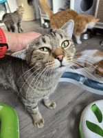 /album/186/8bc707e9-90eb-4497-b46a-a83a93029ac0-jpeg/