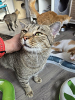 /album/186/8b6f09e1-d15b-48ac-8728-4d475e540687-jpeg/