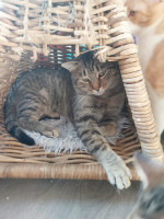 /album/186/612c2430-f416-4579-be76-b2cad640a370-jpeg/