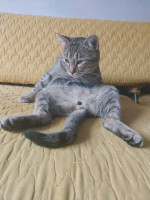 /album/186/4ca09b55-bf82-4096-8899-9c1ef3f5771d-jpeg/