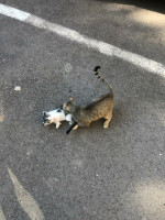 /album/186/f5a22b7f-18d4-48db-9305-56ff2224b2af-jpeg/