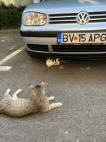 /album/186/adabe35a-911f-49f5-b60d-e58e6961f46a-jpeg/