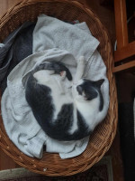 /album/25-11-2025/7f5d0b4d-49ef-469f-9781-7e43ccc7fec3-jpeg/