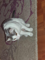 /album/25-11-2025/img-20251118-wa0015-jpg/