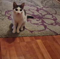 /album/25-11-2025/img-20251118-wa0016-jpg/