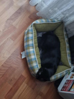 /album/25-11-20251/a7ae58c8-1725-4404-b644-95462a29f89a-jpeg/