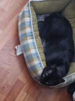 /album/25-11-20251/750c6158-63c9-4e92-820a-3b23cc981e6f-jpeg/