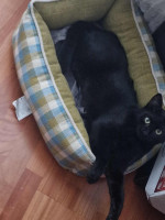 /album/25-11-20251/b9148450-0462-4f89-be1c-badf208ab330-jpeg/