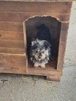 /album/19-11-20254/20251120-113441-jpg/