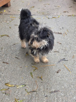 /album/19-11-20254/20251120-105404-jpg/