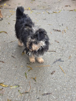 /album/19-11-20254/20251120-105402-jpg/