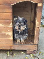 /album/19-11-20254/20251119-122903-jpg/