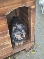 /album/19-11-20254/20251119-114851-jpg/