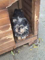 /album/19-11-20254/20251119-114848-jpg/