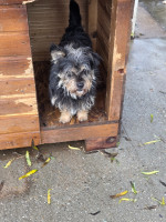 /album/19-11-20254/20251119-093521-jpg/