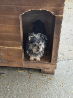 /album/19-11-20254/20251120-113442-jpg/