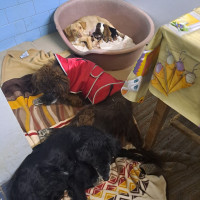 /album/187/566329331-2554714018248104-1887345081749331835-n-jpg/