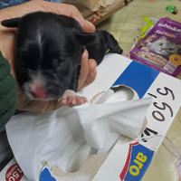 /album/187/566221101-2554713331581506-4235220294437865441-n-jpg/