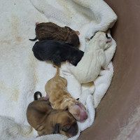 /album/187/565691152-2553675431685296-7565846064676427390-n-jpg/