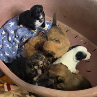 /album/19-11-20255/586462624-1203789445182453-6594577006697802640-n-jpg/