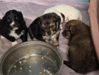 /album/19-11-20255/588627763-1203789361849128-6470241987114808621-n-jpg/