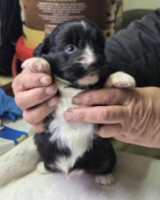 /album/19-11-20255/588581099-1203789061849158-1003145783742418268-n-jpg/