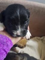 /album/19-11-20255/586242792-1203789085182489-2715543831193991366-n-jpg/