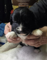 /album/19-11-20255/588389538-1203789141849150-4270900858298922157-n-jpg/