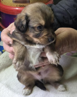 /album/19-11-20256/587705283-1203792471848817-3245427364158179124-n-jpg/