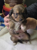 /album/19-11-20256/587224824-1203792431848821-221759142529523026-n-jpg/