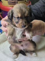 /album/19-11-20256/585670442-1203792481848816-9115132408597813376-n-jpg/