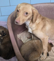 /album/19-11-20256/588340170-1203770721850992-3115409786370746490-n-jpg1/