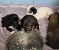 /album/19-11-20256/586632751-1203789255182472-3579916722235114614-n-jpg1/