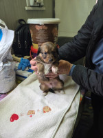 /album/19-11-20256/20251118-105501-jpg/