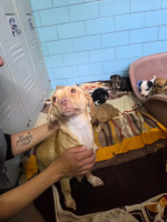 /album/19-11-20256/20251117-120939-jpg/