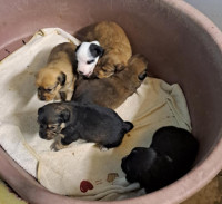 /album/229/588571008-1203789365182461-6659474834385840078-n-jpg1/